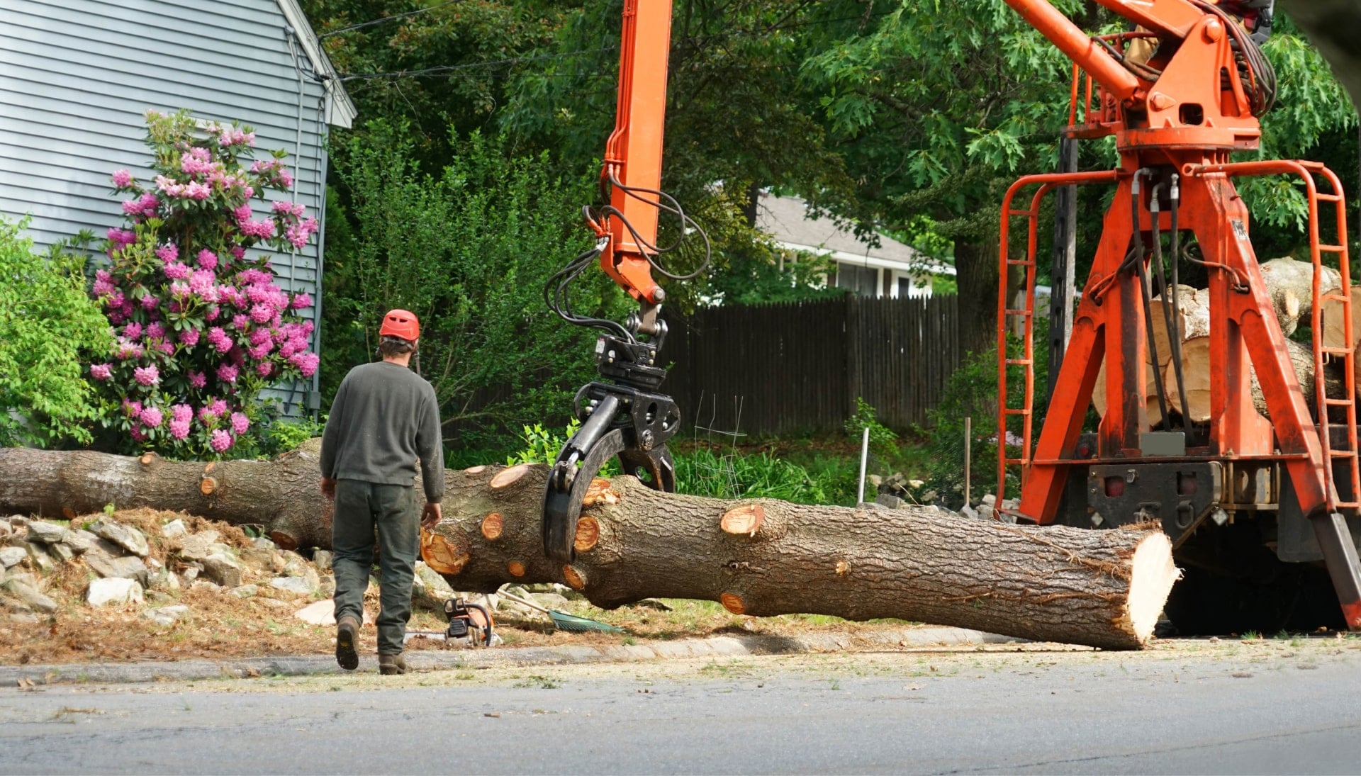An orange tree removal machine picking up branch in Los Angeles, California